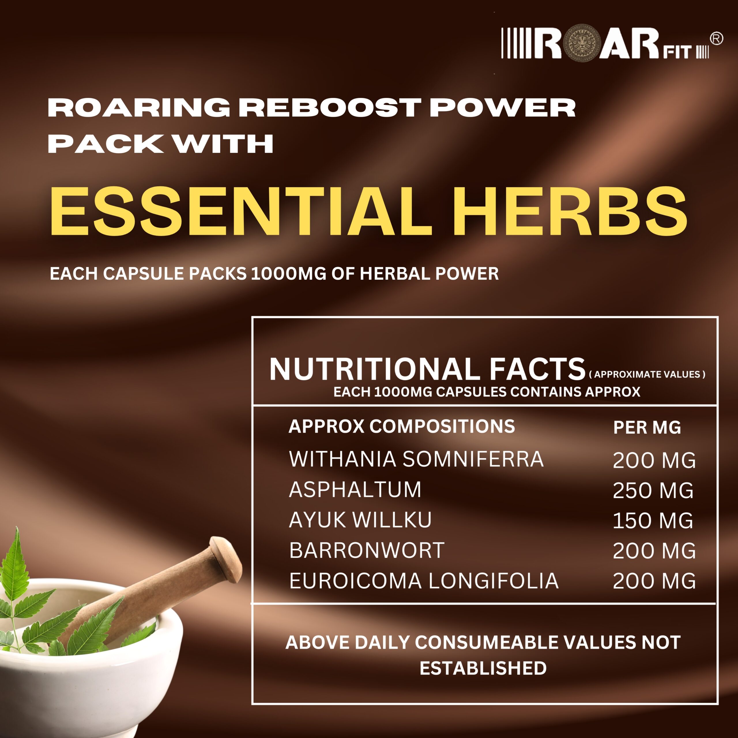 Roaring Reboost - Image 3