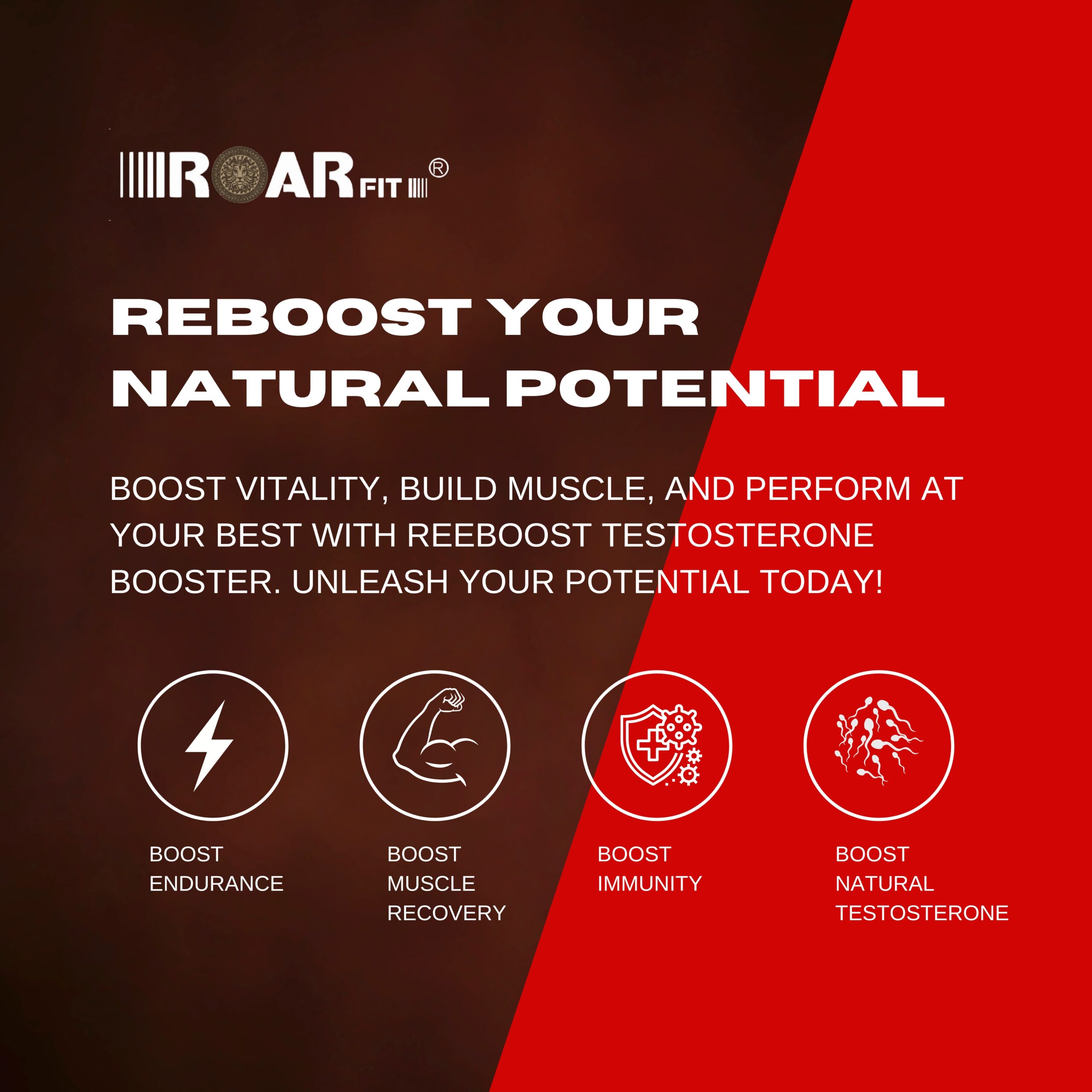 Roaring Reboost - Image 4