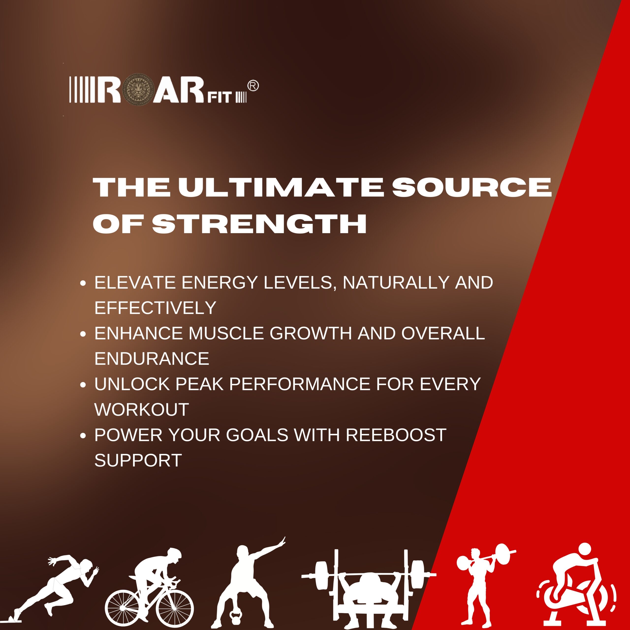 Roaring Reboost - Image 5