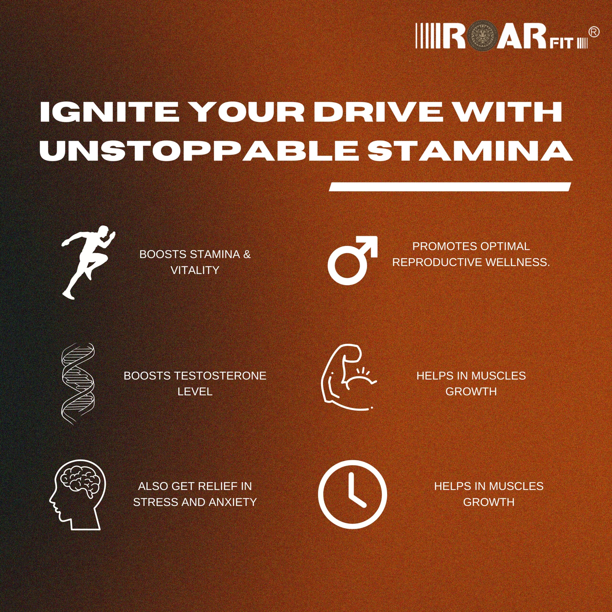 Roaring Reboost - Image 6